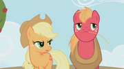 Applejack "are you saying" S01E04