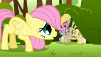 Filly Fluttershy calming the scared rabbits down S1E23