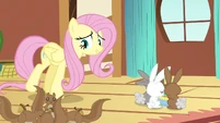 Fluttershy all just cranky S3E13