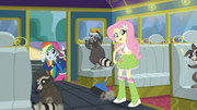 Fluttershy and the raccoons cleaning the tour bus SS13