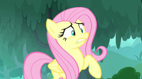 Fluttershy cringes at Pinkie Pie's music S8E18