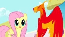 Philomena se desculpando com Fluttershy.