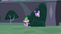 Spike asking "you sniff books?" S9E5.png (663 KB)