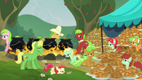 Apple family stops making fritters S3E8