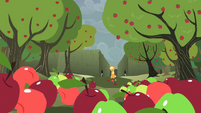 Apples moving towards Applejack S2E01