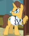 Doctor Horse ID S2E16.png