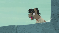 Dr. Caballeron "good luck, Daring Do!" S7E18