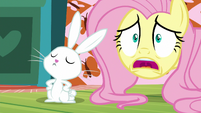 Fluttershy "I'll have to go out" S5E21