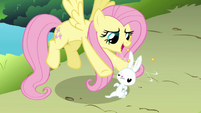 Fluttershy and dizzy Angel S03E10