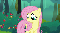 Fluttershy hears a tweeting bird S8E13