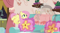 Fluttershy picks up Discord's throw pillow S7E12