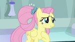 Older Fluttershy appears in Canterlot S9E26