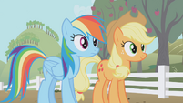 Rainbow and Applejack side by side S1E03