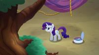 Rarity notices lack of welcoming party MLPRR