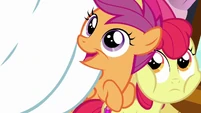 Scootaloo "No matter how long it takes!" S6E4.png (767 KB)