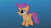 Scootaloo offering help S1E24
