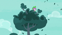 Spike watching the roc from the tree S8E11