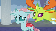 Thorax introducing Ocellus S8E1