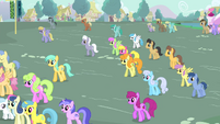 Ponies gathering for the announcement winner.