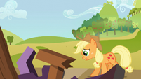 Applejack cries over ruined reunion S03E08