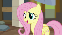 Fluttershy "while I appreciate your efforts" S7E5