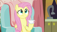 Fluttershy holding a cup of green tea S7E12