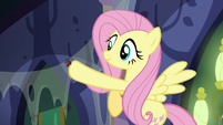 Fluttershy places a spider on the web S6E21