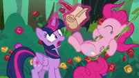 Pinkie Pie accidentally kicks Twilight's scroll S8E13