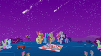 Ponies watching the rest of the meteor shower S1E24