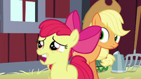 AB "you'll have to miss the Sisterhooves Social!" S5E17
