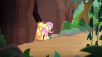 AJ and Fluttershy emerge from mountain tunnel S8E23