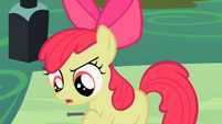Apple Bloom 'we'll be the' S2E06