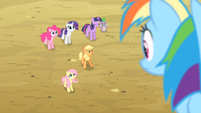 Applejack 'We've gotta round up these beasts with wings first' S4E07