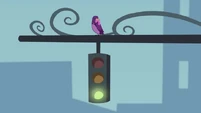Bird perched on a traffic light EG2.jpg (22 КБ)