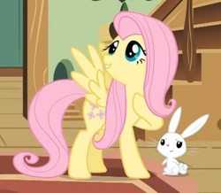 Fluttershy talking to Angel S01E22