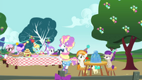 Foal's birthday party S4E23