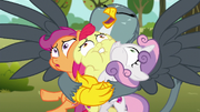 Gabby hugs the CMCs S6E19