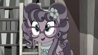 Petunia "did he say anything else?" MLPRR