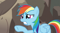 Rainbow Dash feeling sorry for A. K. Yearling S7E18