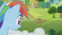 Rainbow Dash looking at the well S2E08