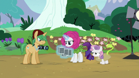 Rarity looking at the photographs S7E6