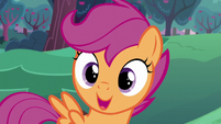 Scootaloo "they're all our older sisters" S6E14