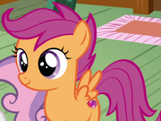 Categoria Personajes Secundarios My Little Pony La Magia De La Amistad Wiki Fandom The movie (2017) full movie online. personajes secundarios my little pony
