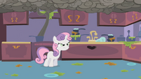 Sweetie Belle's surprise was ruined...she's not happy about that.