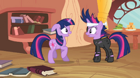 Twilight and Twilight 4 S2E20