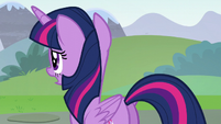 Twilight asking "some other detail" S5E22