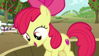 Apple Bloom on a tub of grapes happy S6E4