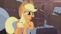 Applejack "passed down in your family?" S5E20