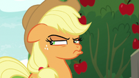 Applejack immediately suspicious S9E10