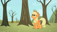 Applejack wondering about the theft of her apples S2E10